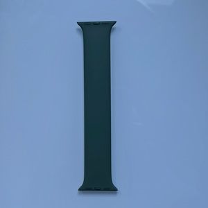 Apple Watch Band 41mm Solo Loop, Size 4, Color Eucalyptus